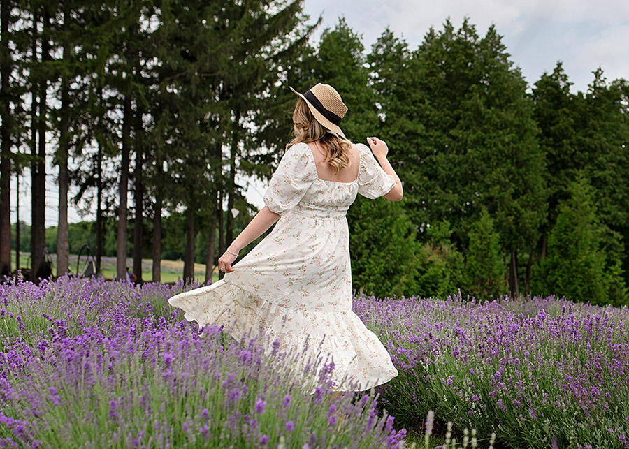 5 reasons for a picnic photo session in lavender fields