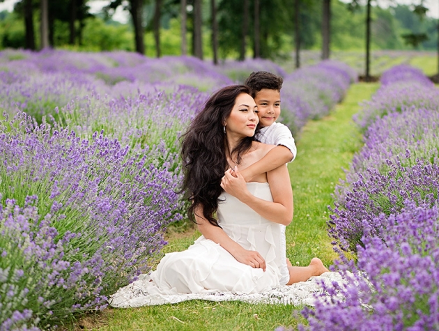 lavender-fields-photography